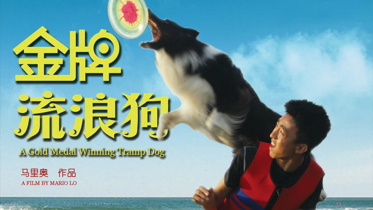 金牌流浪狗 - 剧照