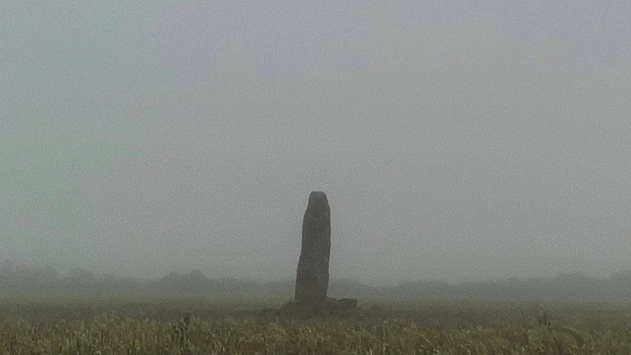 A Year in a Field - 剧照