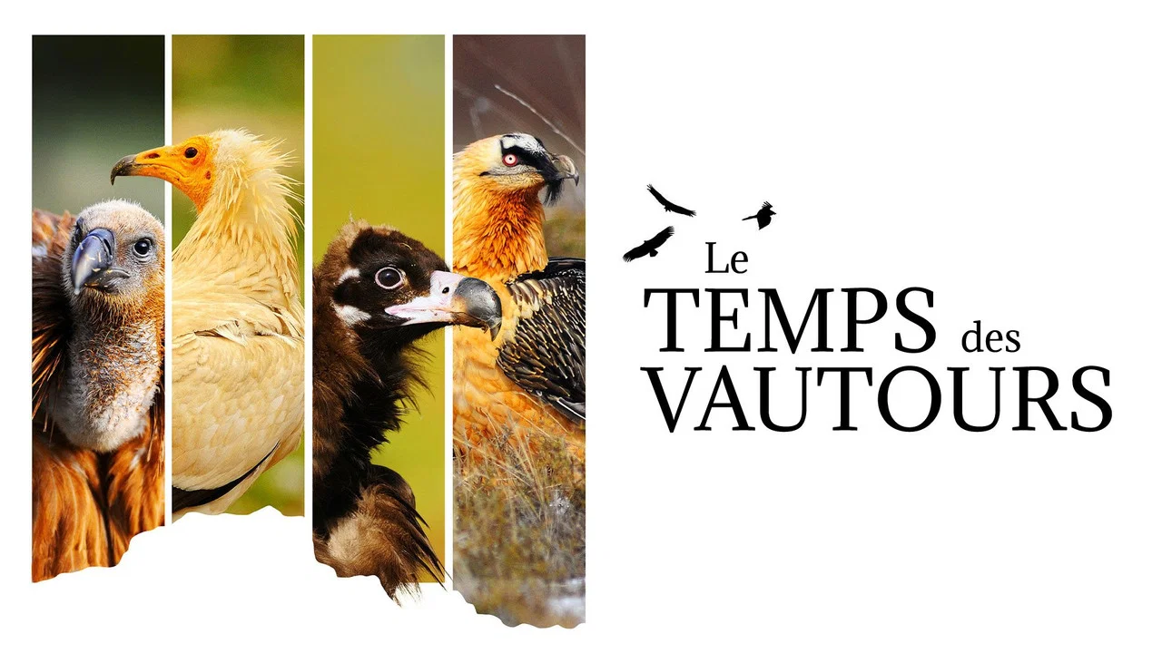Le Temps des vautours - 剧照