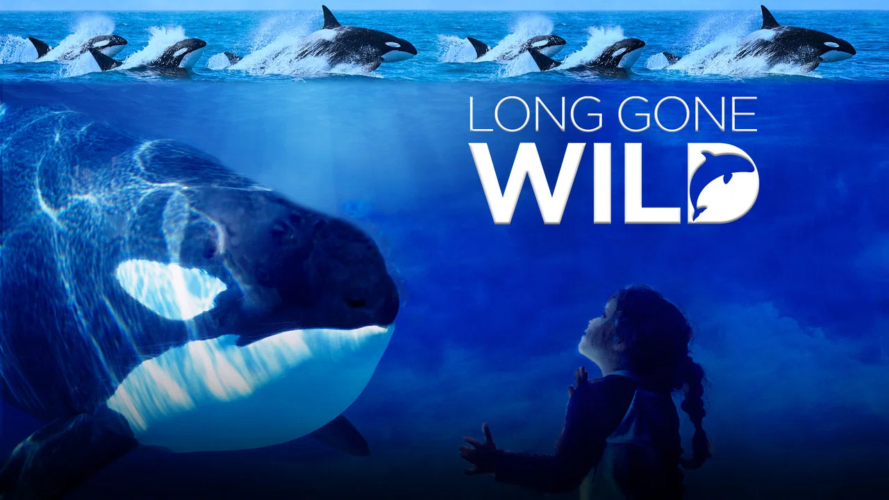 Long Gone Wild - 剧照