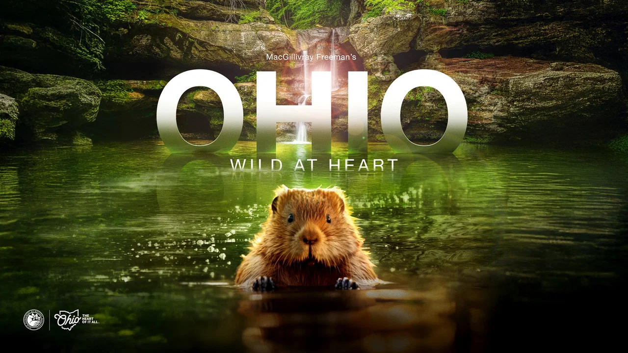 Ohio: Wild at Heart - 剧照