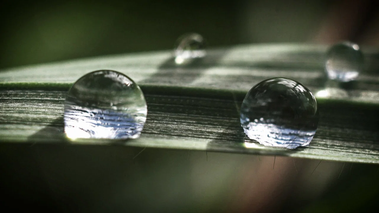 Efter floden - 剧照