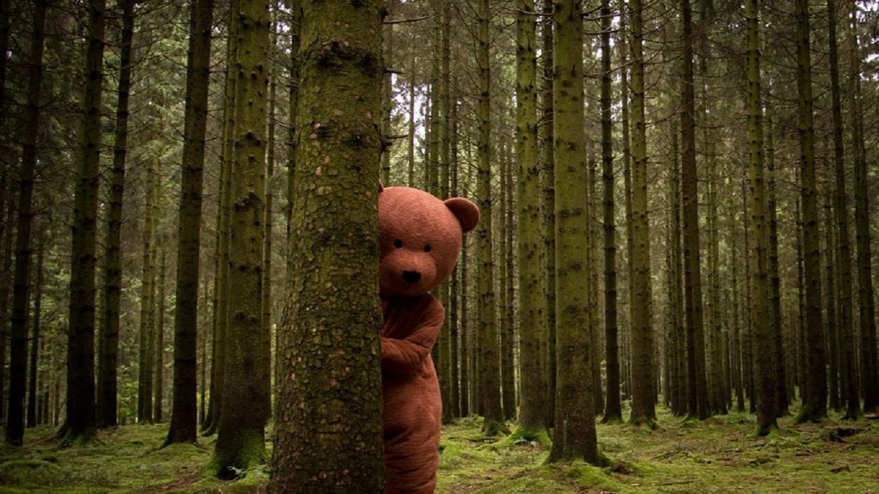 L'ours noir - 剧照