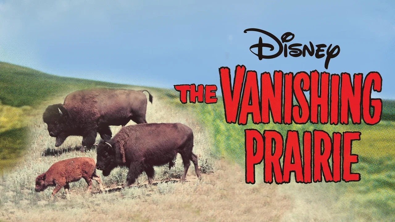 The Vanishing Prairie - 剧照
