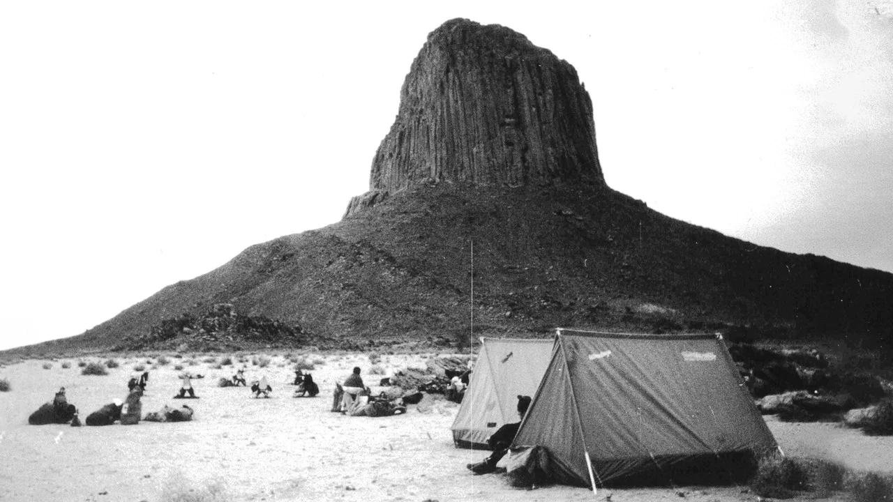 Hoggar '64 - 剧照
