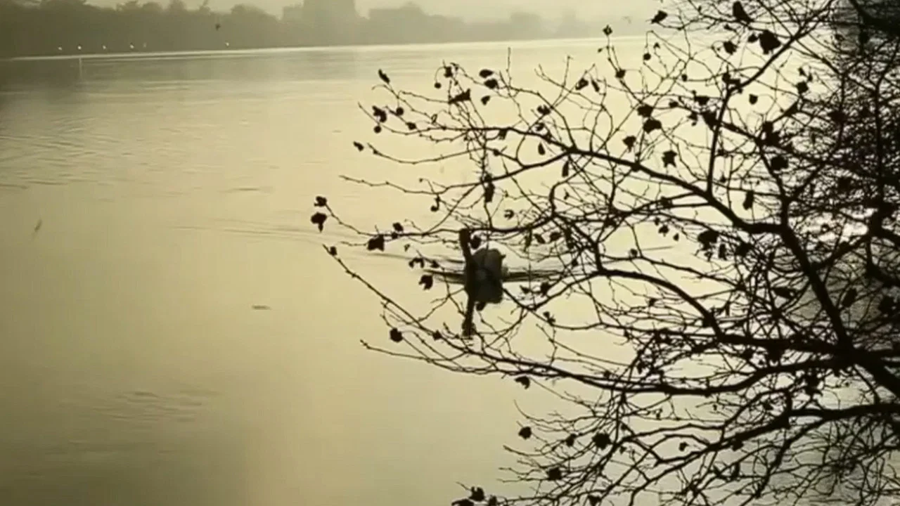 Hunting Confessions - 剧照