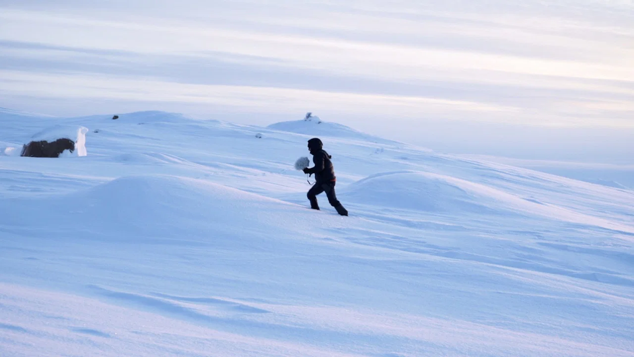 -22.7&deg;C The Far North Musical Experience - 剧照