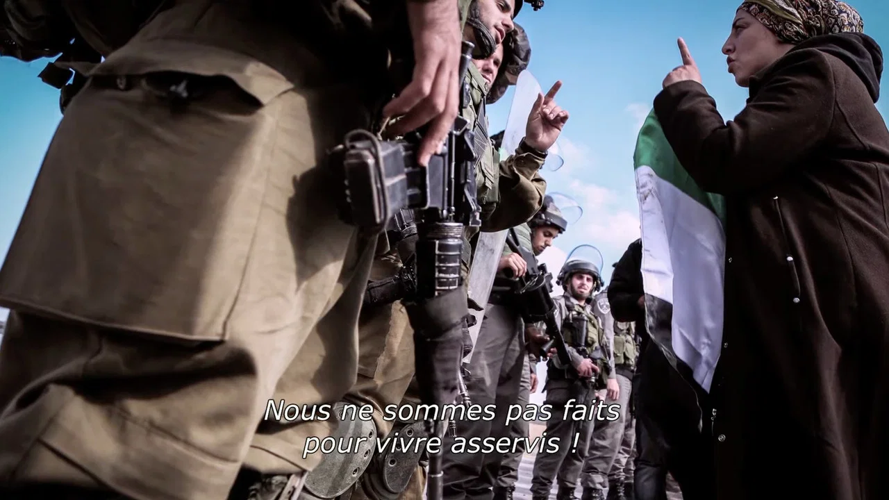 Derri&egrave;re les fronts : r&eacute;sistances et r&eacute;siliences en Palestine - 剧照