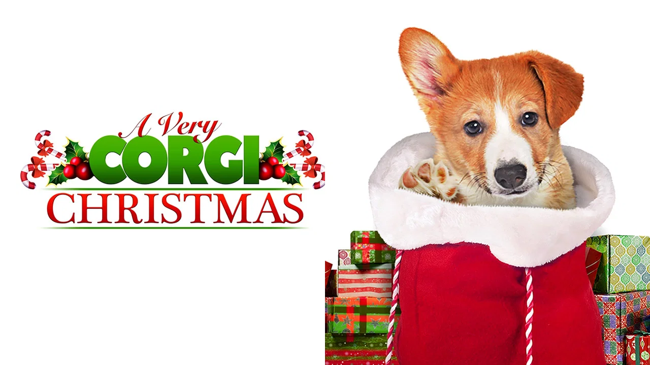 A Very Corgi Christmas - 剧照