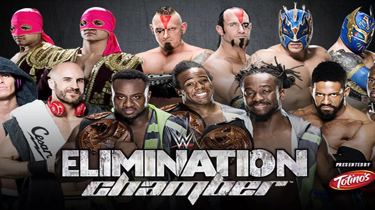 WWE Elimination Chamber 2015 - 剧照