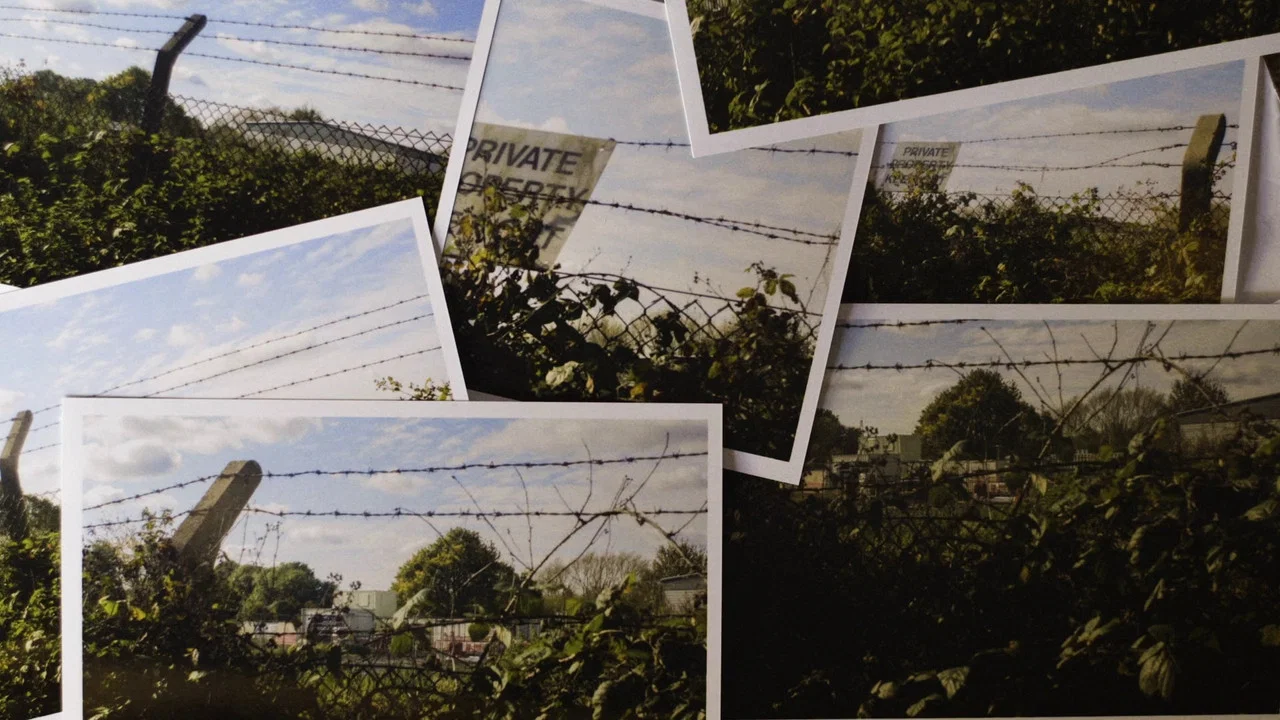 Grantham Overgrown (Infinite Regression) - 剧照