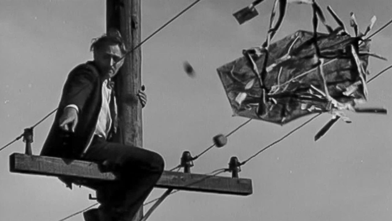 Fly My Kite - 剧照