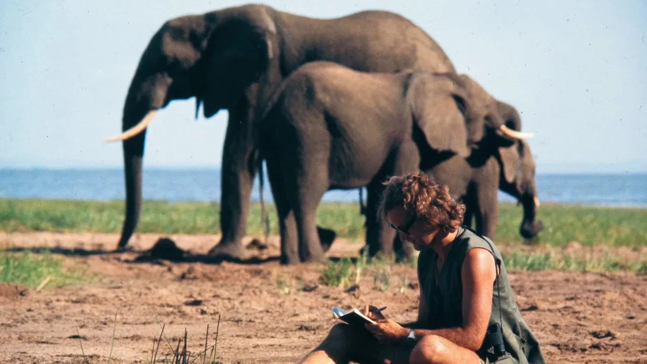 A Life Among Elephants - 剧照