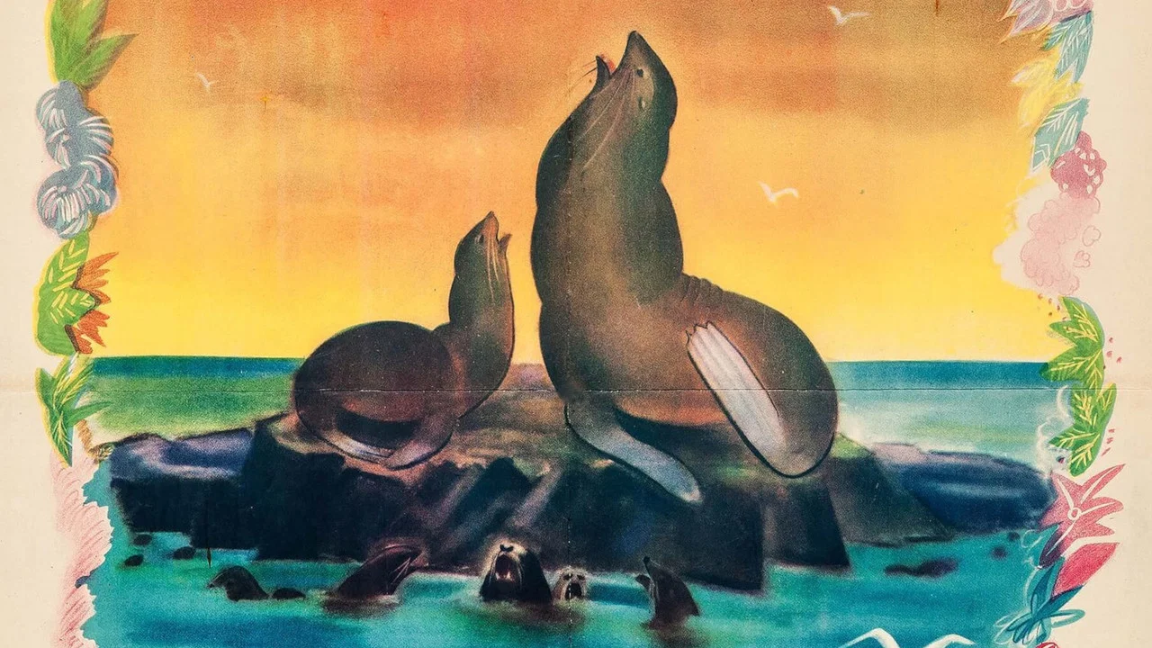 Seal Island - 剧照