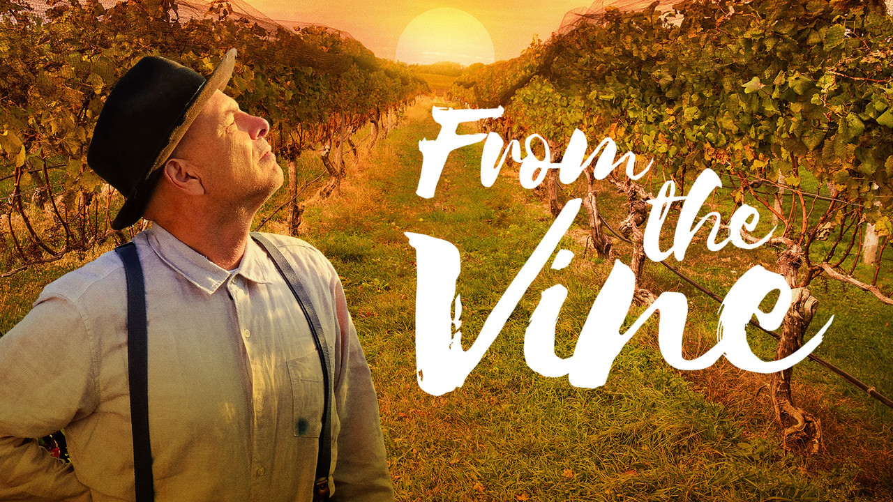 From the Vine - 剧照