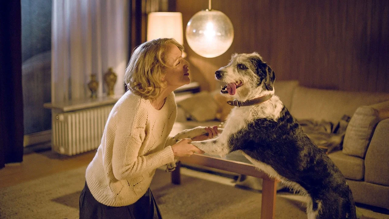 Der Hund begraben - 剧照