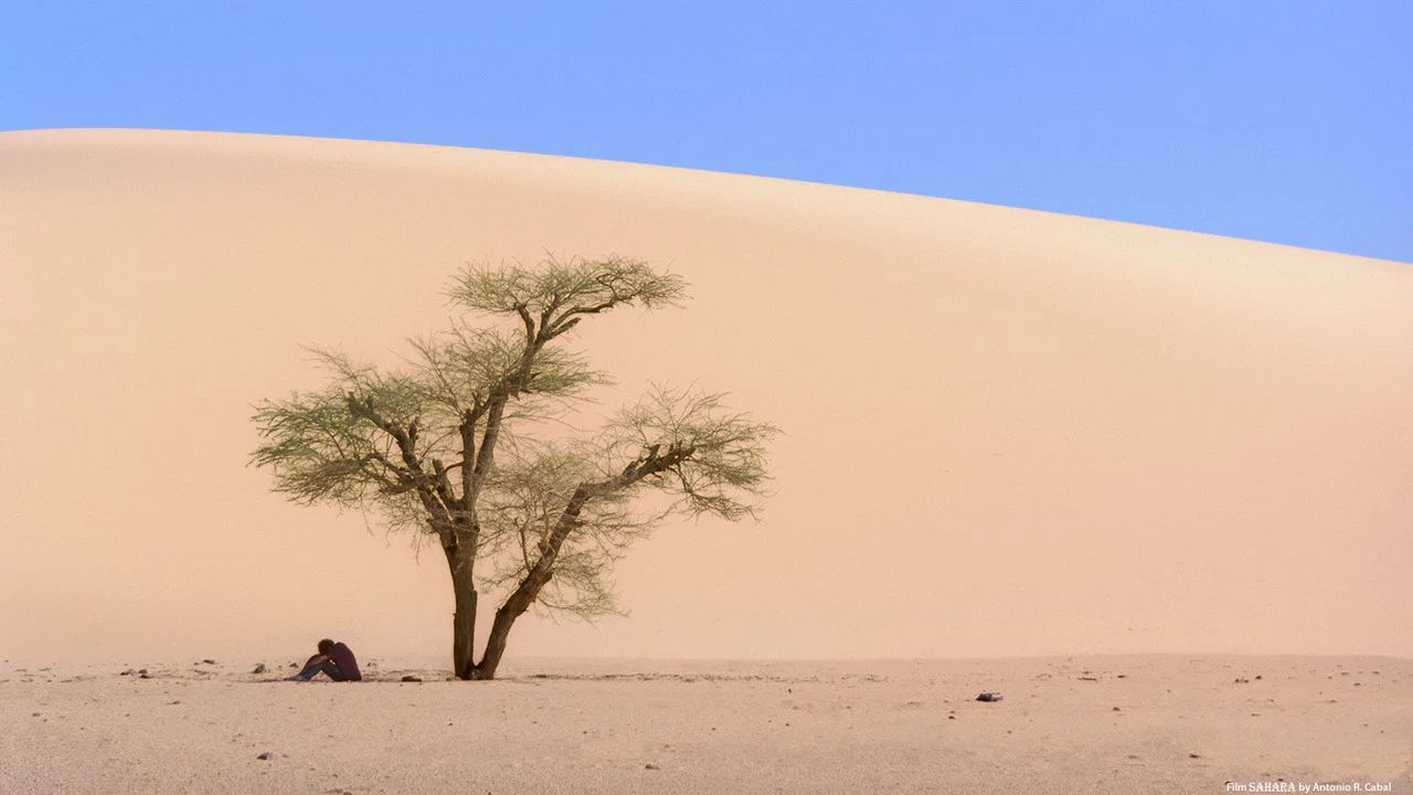 Fin de viaje, Sahara - 剧照