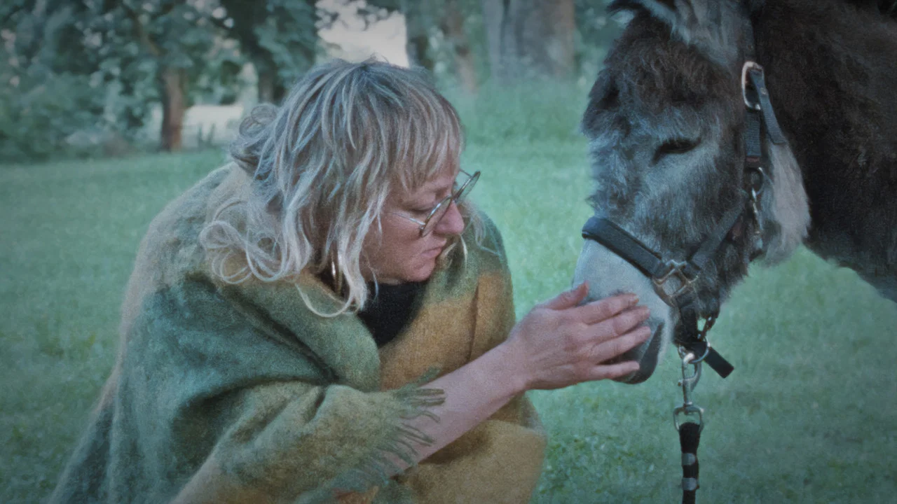 Donkey Days - 剧照