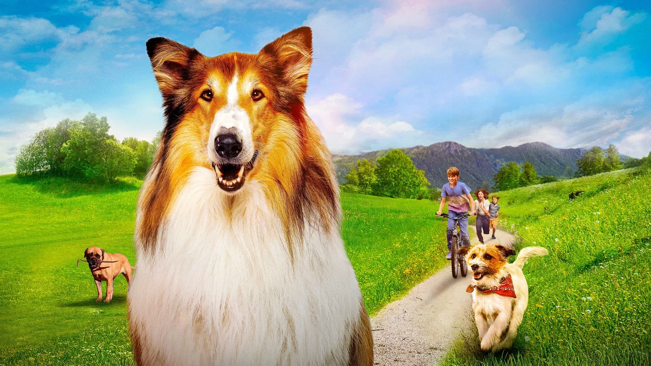 灵犬莱西：新冒险 - 剧照