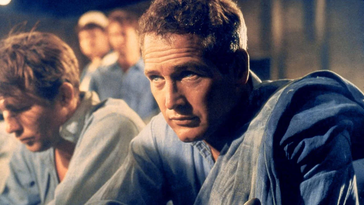 Paul Newman, l'intranquille - 剧照