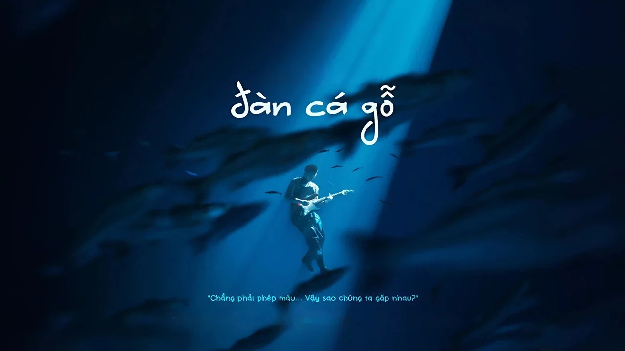 Đ&agrave;n C&aacute; Gỗ - 剧照
