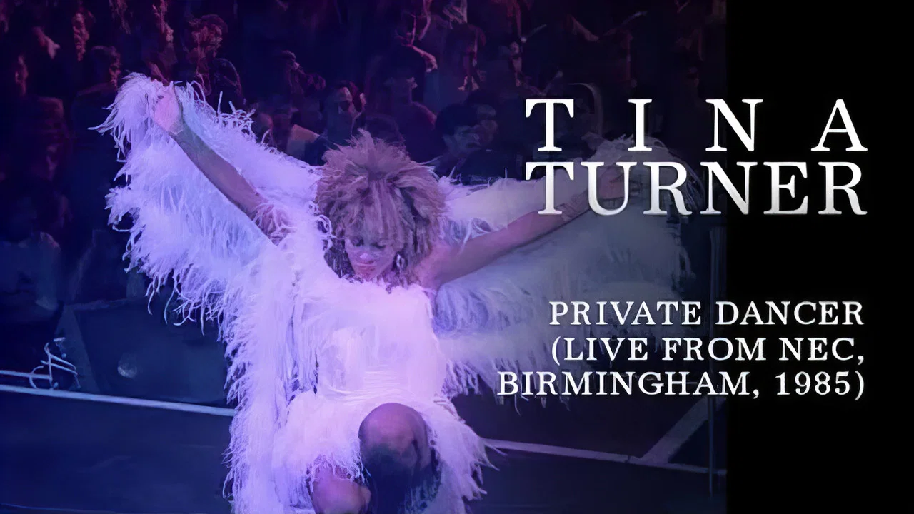 Tina Turner: Private Dancer Tour - 剧照