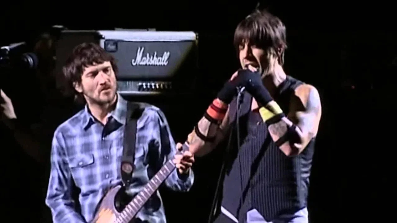 Red Hot Chili Peppers : Live in Poland - 剧照