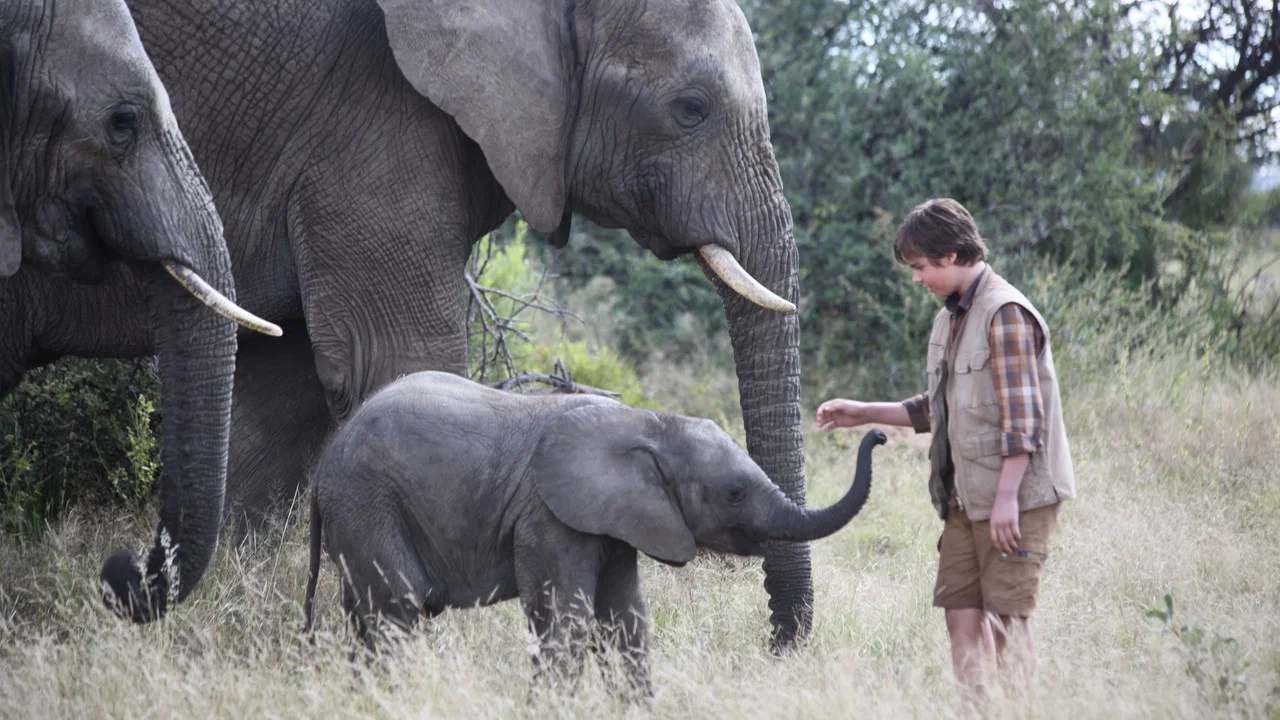 An Elephant's Journey - 剧照