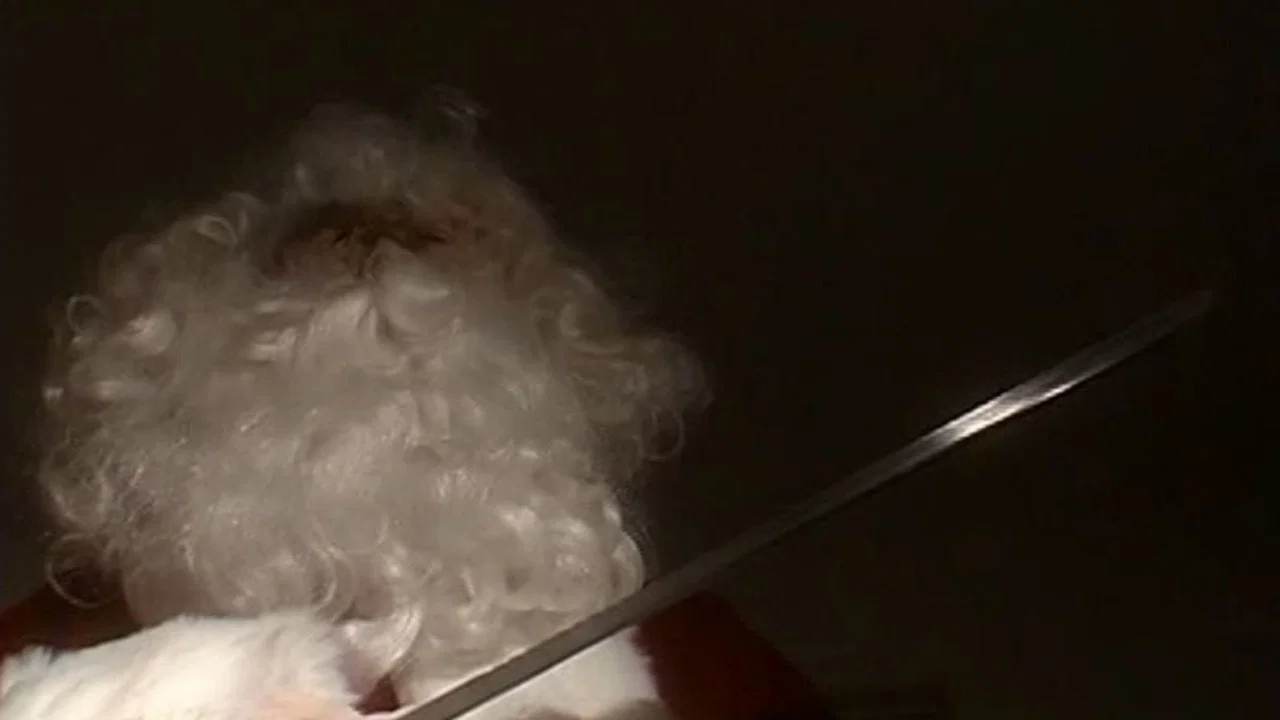Psycho Santa - 剧照