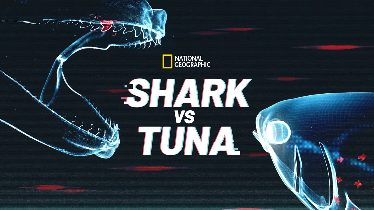 Shark vs. Tuna - 剧照