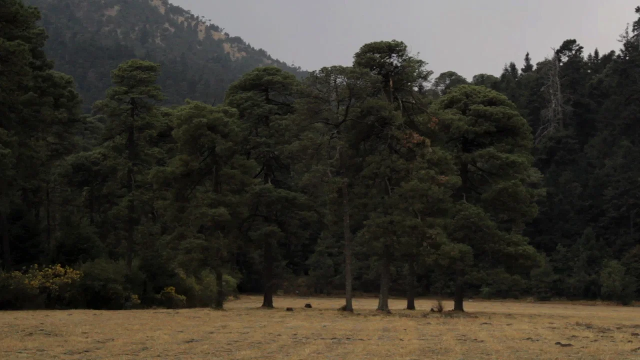 Pradera - 剧照
