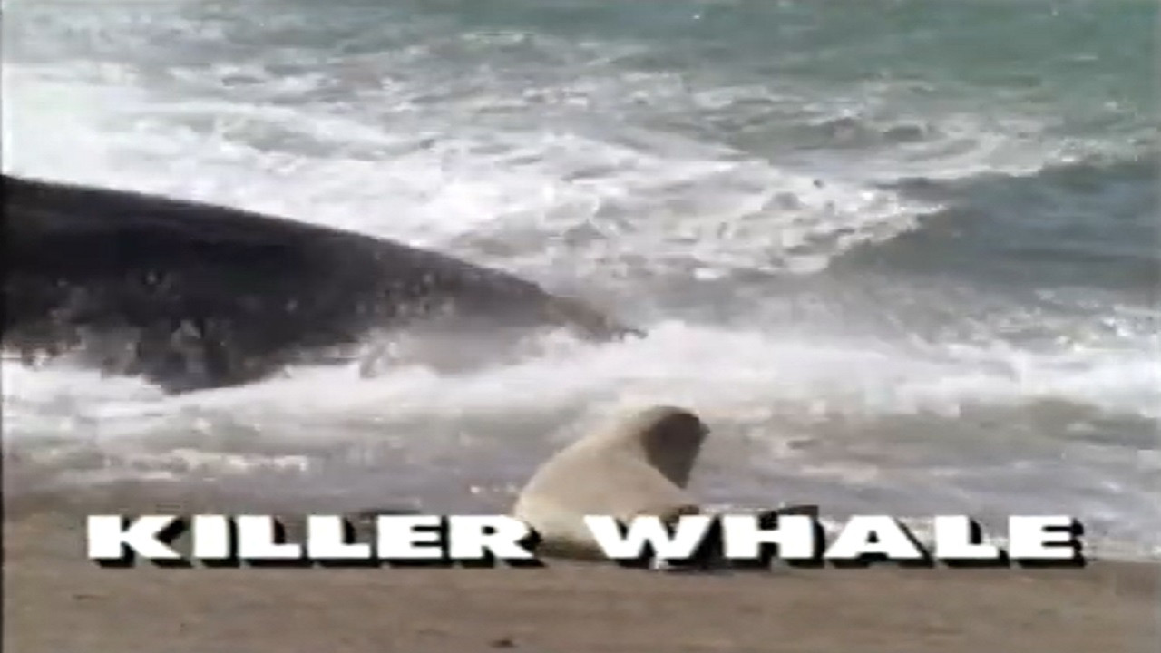 Predators of the Wild: Killer Whale - 剧照