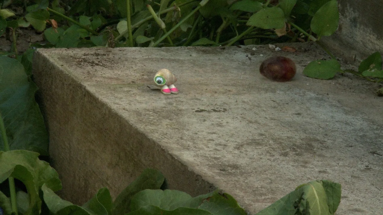 Marcel the Shell with Shoes On, Three - 剧照