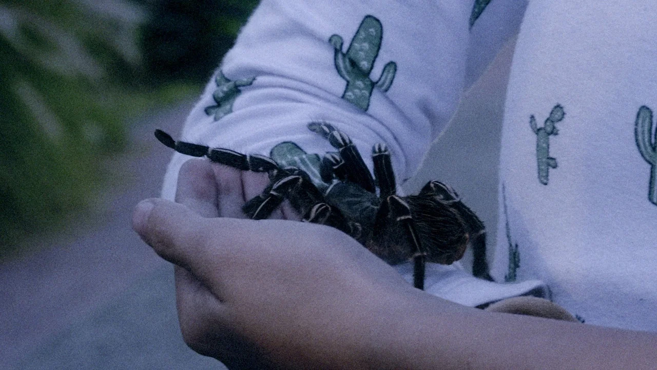 Somos animales - 剧照