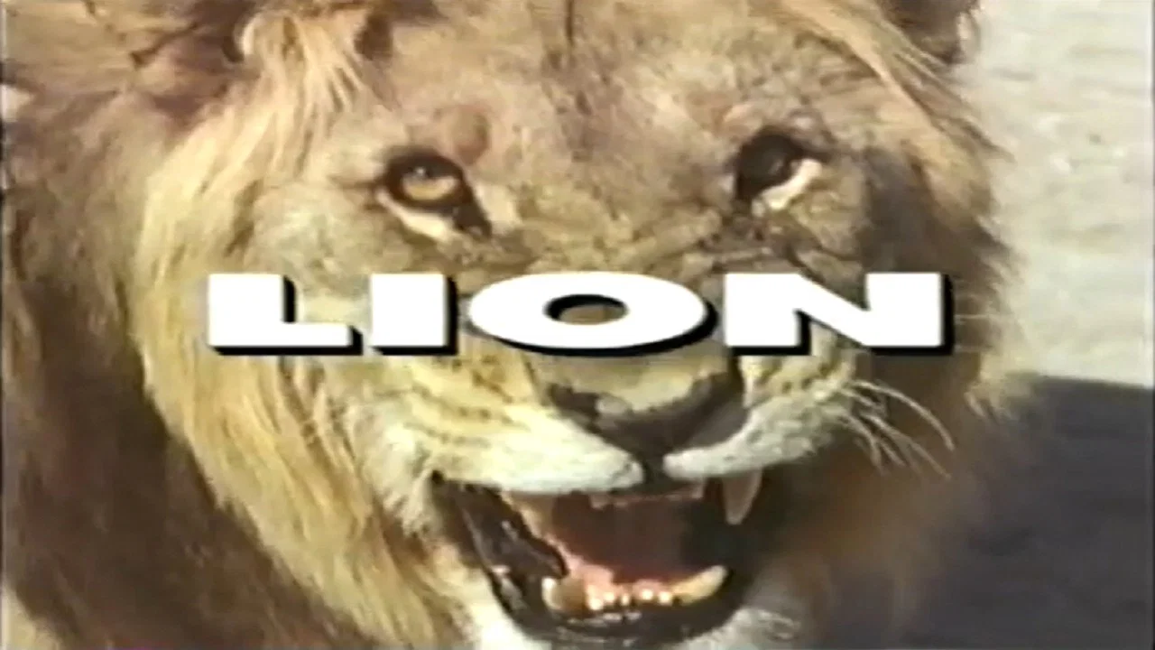 Predators of the Wild: Lion - 剧照