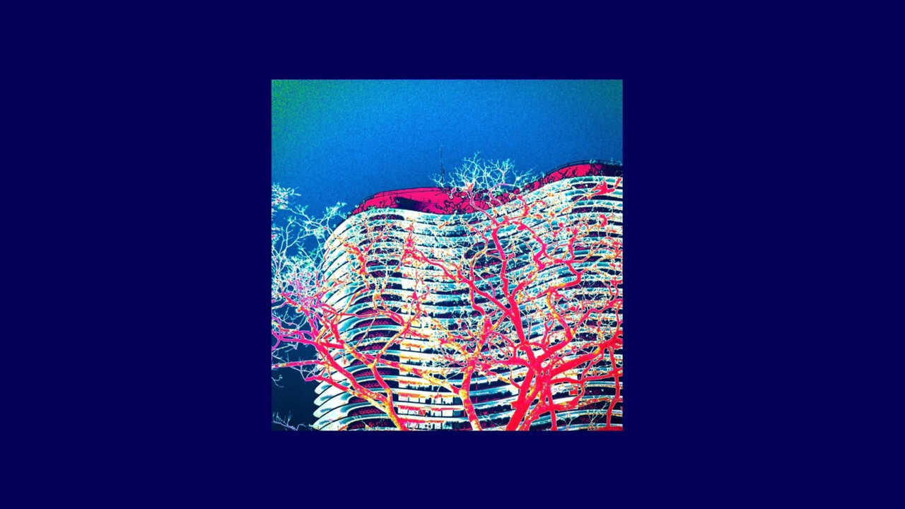 Bassman - 剧照