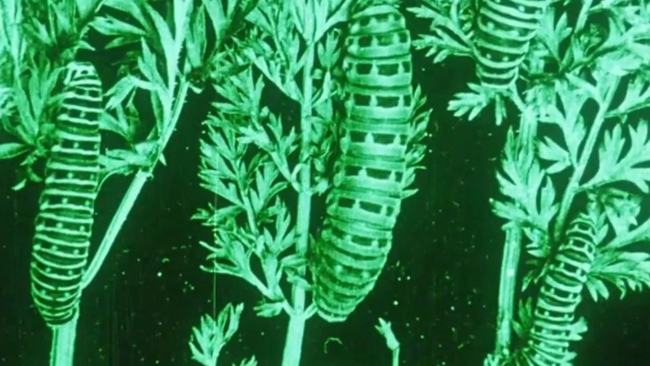 Water, Klimaat en Film - 剧照