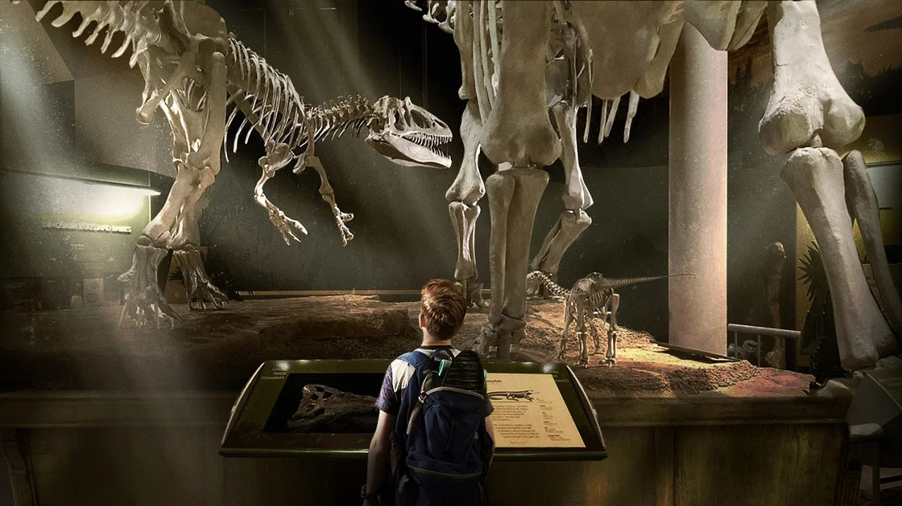 The Adventures of Jurassic Pet - 剧照