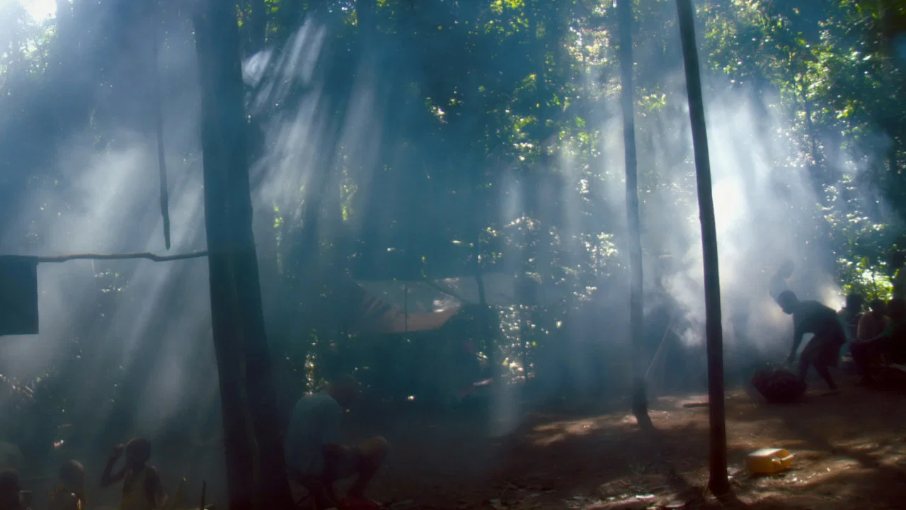 Song from the Forest - 剧照