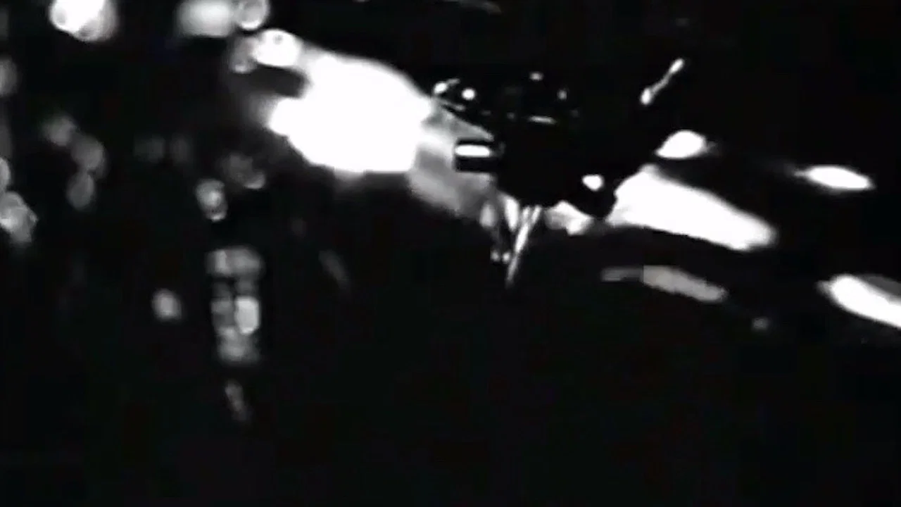 Herbie - 剧照