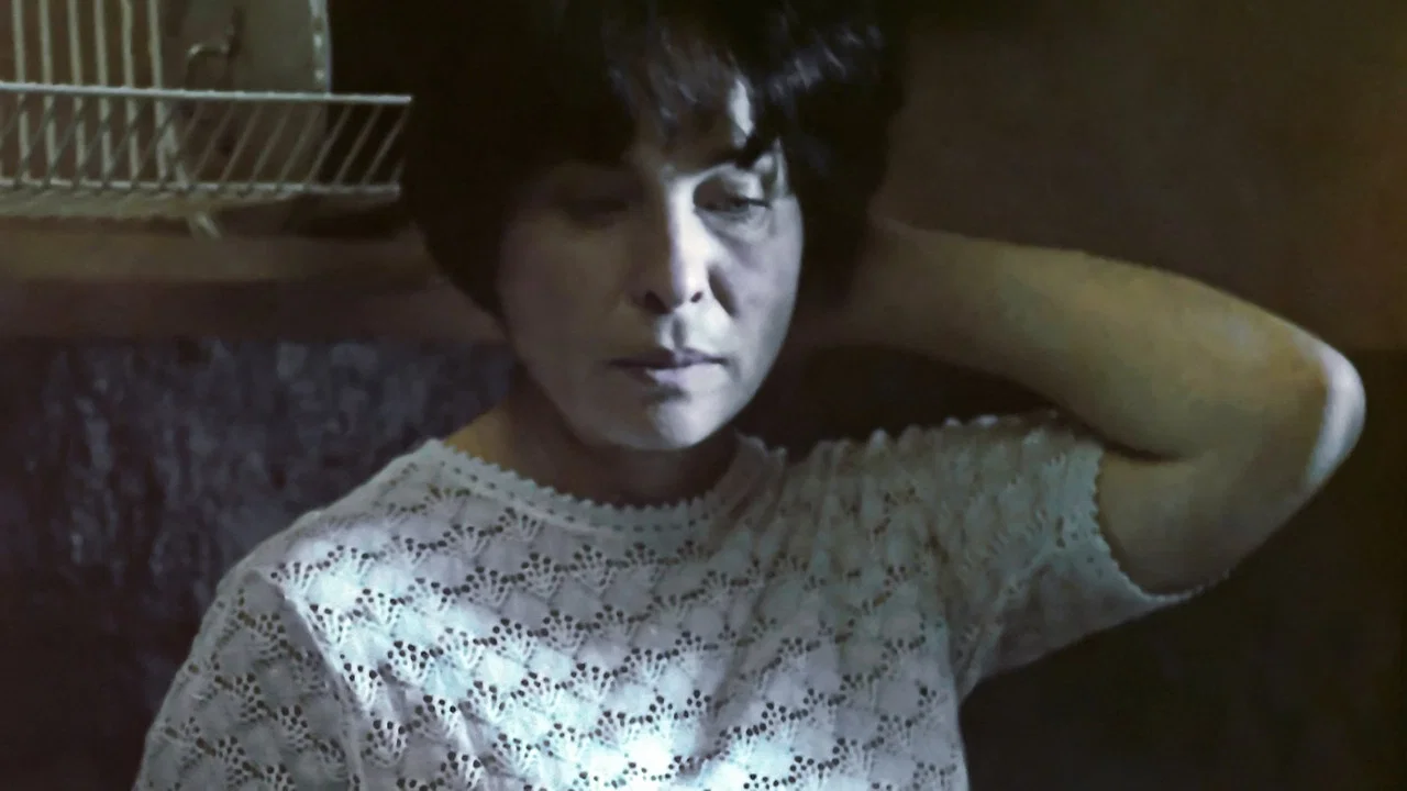 一个孤独的女人 - 剧照