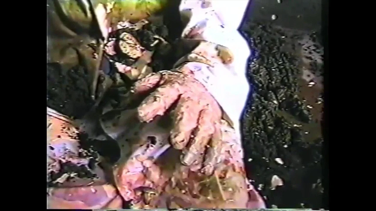 Gore Gore Gays - 剧照