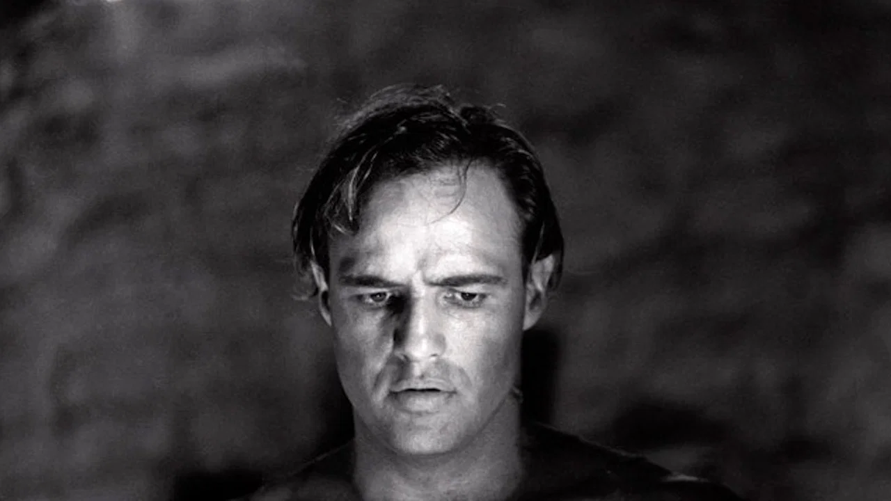 Brando - 剧照