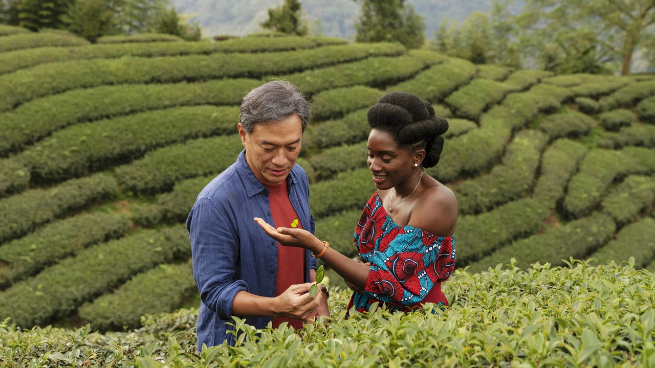 以爱之茗 - 剧照