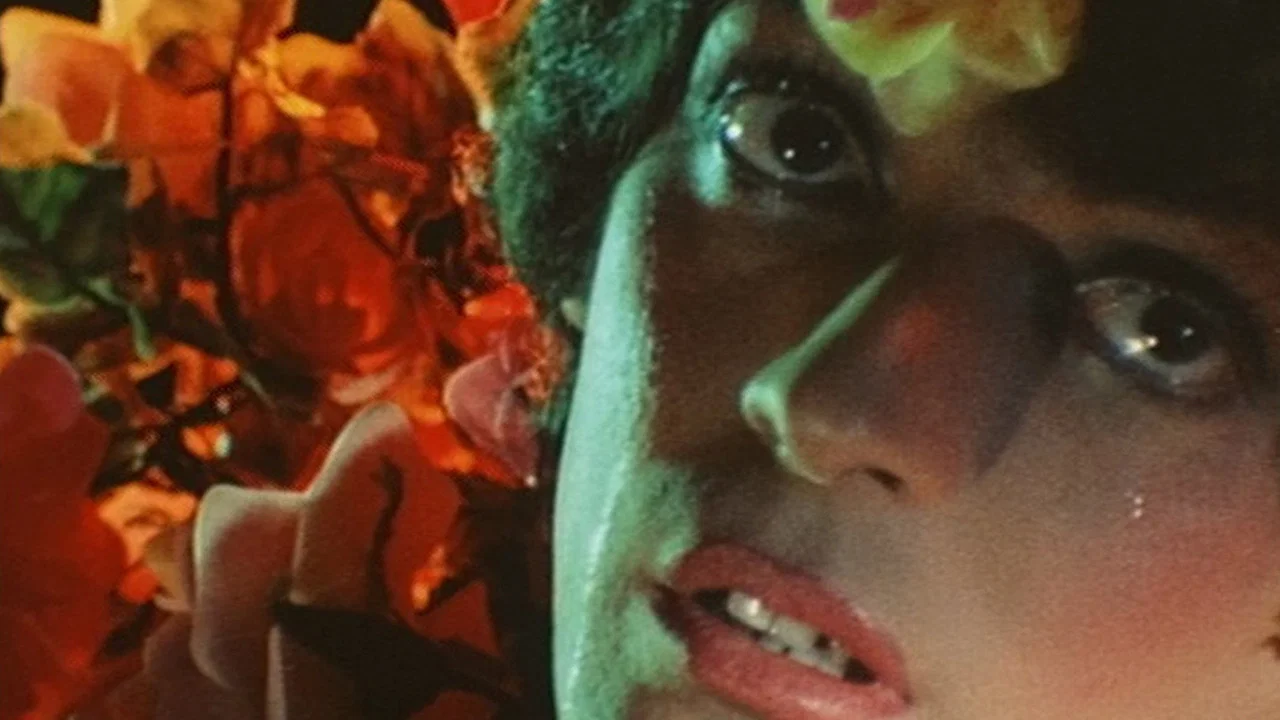 莎乐美 - 剧照