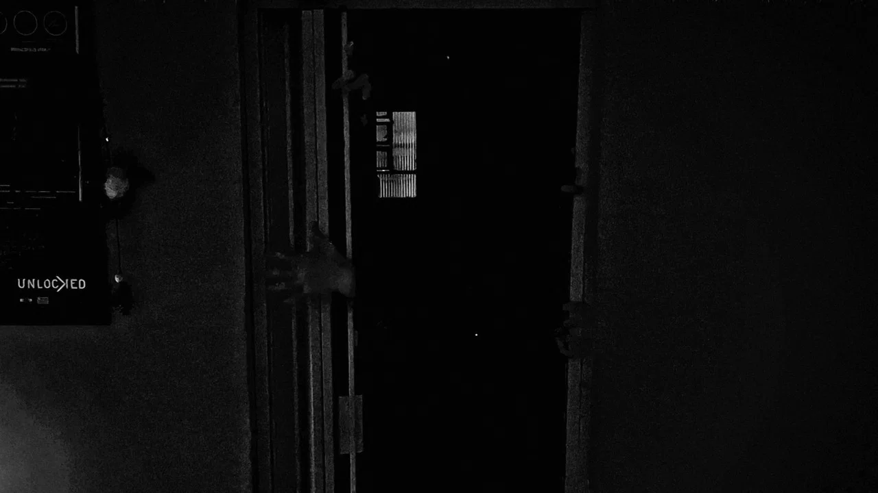 DEATH SENTENCE: LUCIDITY - 剧照