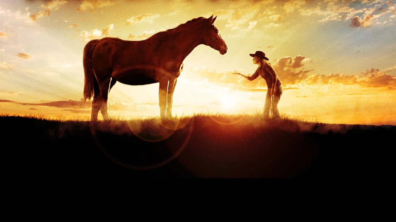 The Wild Stallion - 剧照