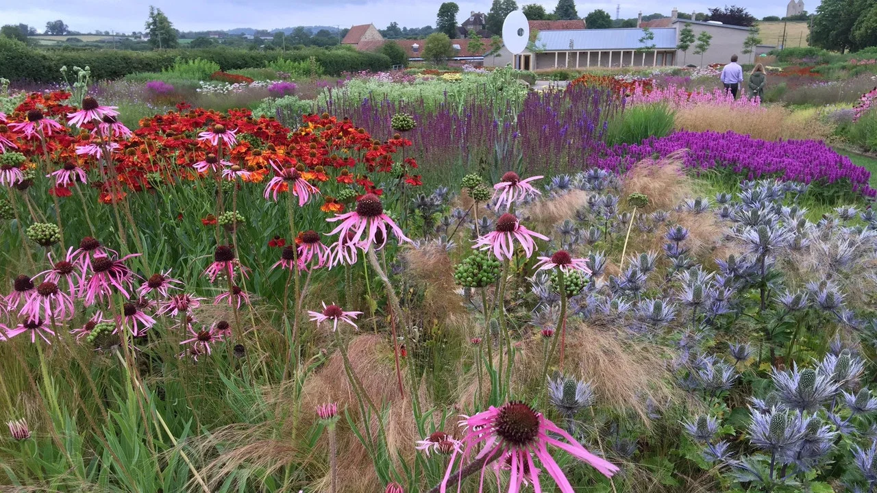 Five Seasons: The Gardens of Piet Oudolf - 剧照