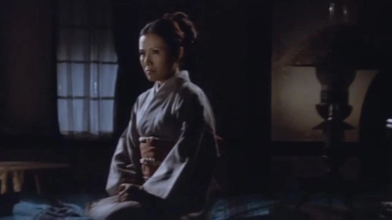 夜车上的女人 - 剧照