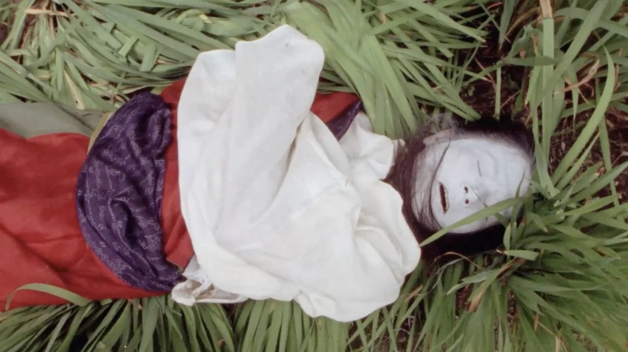Butoh: Body on the Edge of Crisis - 剧照